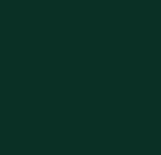 Forbo Furniture Linoleum B&R: Flooring & Carpeting Forbo USA 4174 Conifer
