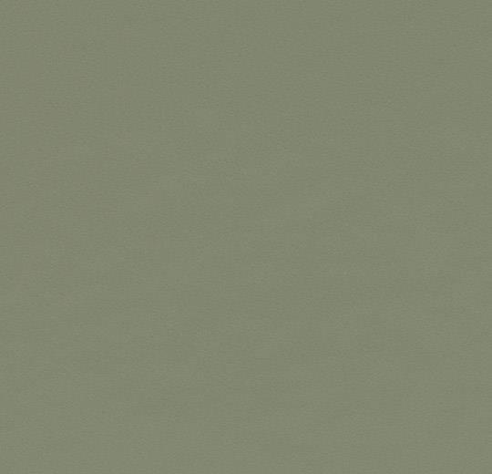 Forbo Furniture Linoleum B&R: Flooring & Carpeting Forbo USA 4184 Olive