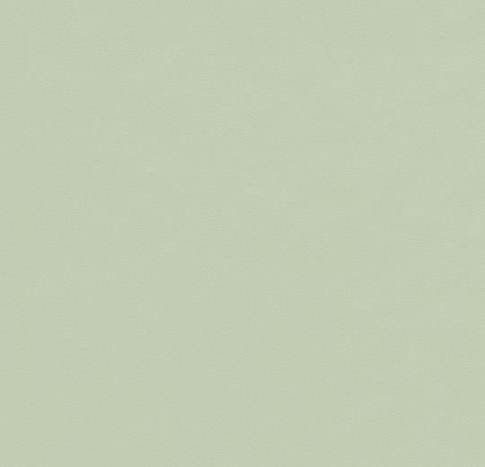 Forbo Furniture Linoleum B&R: Flooring & Carpeting Forbo USA 4183 Pistachio