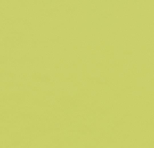 Forbo Furniture Linoleum B&R: Flooring & Carpeting Forbo USA 4182 Spring Green