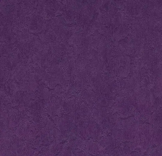 Marmoleum Composition Tile (MCT) - Grape - 3277 B&R: Flooring & Carpeting Forbo 