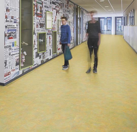 Marmoleum Sheet Vivace - Green Melody B&R: Flooring & Carpeting Forbo USA