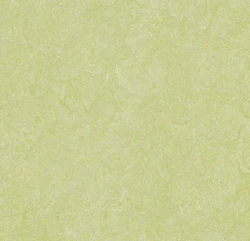 Marmoleum Real - Green Wellness - 3881 B&R: Flooring & Carpeting Forbo 