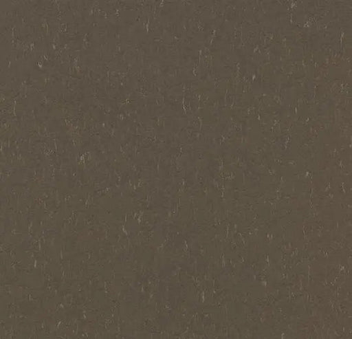 Marmoleum Composition Tile (MCT) - Hazelnut - 3657 B&R: Flooring & Carpeting Forbo 