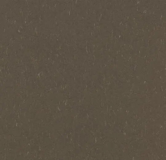 Marmoleum Composition Tile (MCT) - Hazelnut - 3657 B&R: Flooring & Carpeting Forbo 