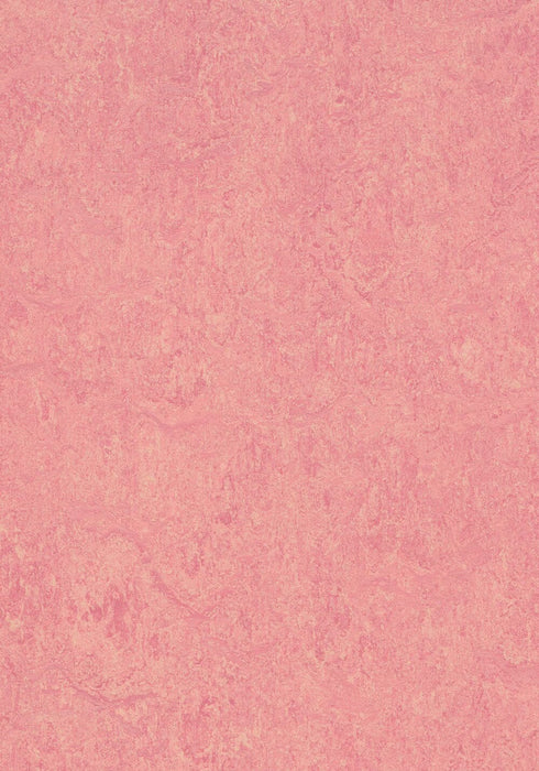 Marmoleum Click Cinch LOC - Honeysuckle 93/333268 B&R: Flooring & Carpeting Forbo