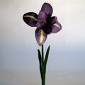 Iris on a Stalk B&K: Rugs & Decor Dryads Dancing