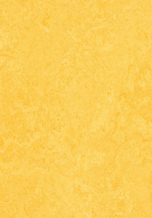 Marmoleum Click Cinch LOC - Lemon Zest 93/333251 B&R: Flooring & Carpeting Forbo