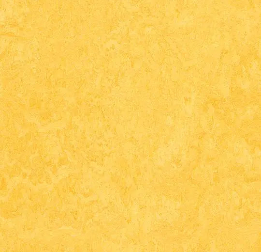 Marmoleum MCS - Lemon Zest - 3251 B&R: Flooring & Carpeting Forbo