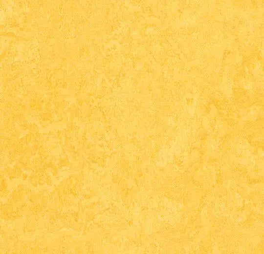 Marmoleum Composition Tile (MCT) - Lemon Zest - 3251 B&R: Flooring & Carpeting Forbo