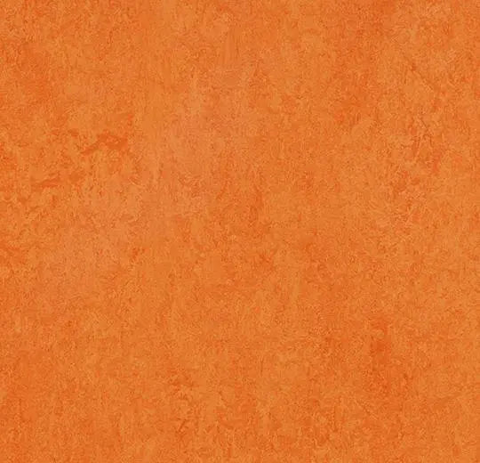 Marmoleum Composition Tile (MCT) - Mandarin - 3278 B&R: Flooring & Carpeting Forbo 