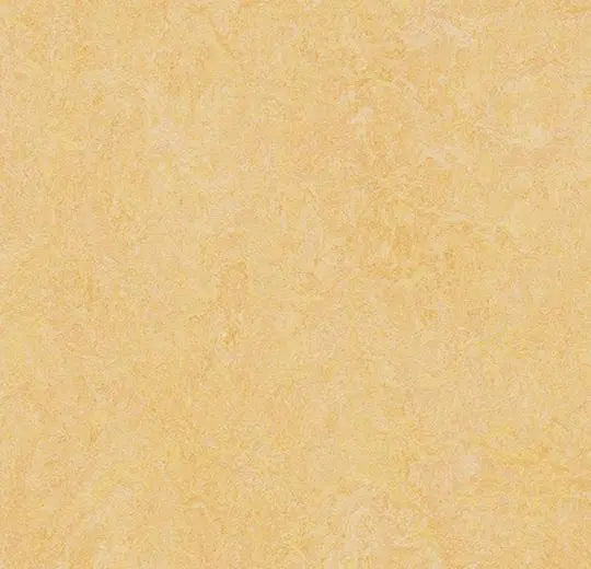 Marmoleum MCS - Natural Corn - 3846 B&R: Flooring & Carpeting Forbo