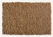 Earth Weave Broadloom Carpeting - Rainier B&R: Flooring & Carpeting Earth Weave Tussock 