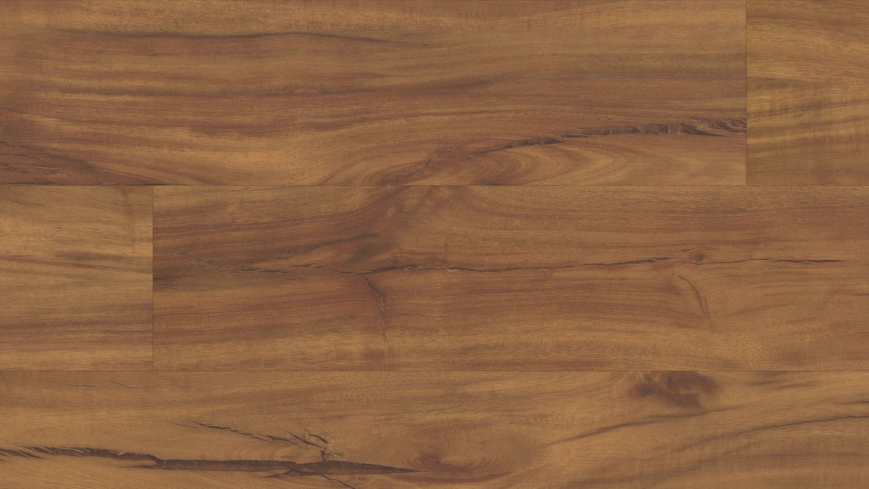 COREtec Plus 5" Gold Coast Acacia - VV023-00201 B&R: Flooring & Carpeting USFloors