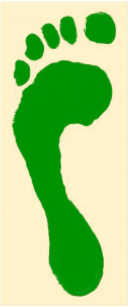 Going Green – Top 10 List