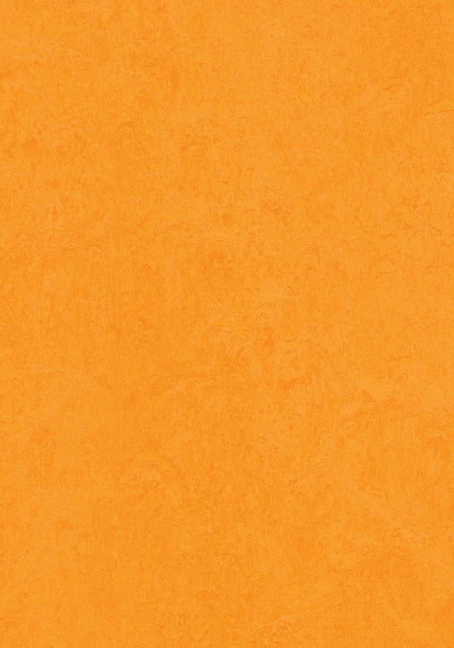 Marmoleum Cinch LOC Seal - Marigold - 93/333262 B&R: Flooring & Carpeting Forbo 