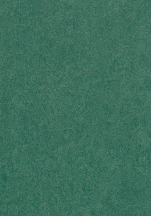 Marmoleum Cinch LOC Seal - Hunter Green - 93/333271 B&R: Flooring & Carpeting Forbo 