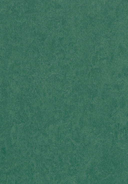 Marmoleum Cinch LOC Seal - Hunter Green - 93/333271 B&R: Flooring & Carpeting Forbo 
