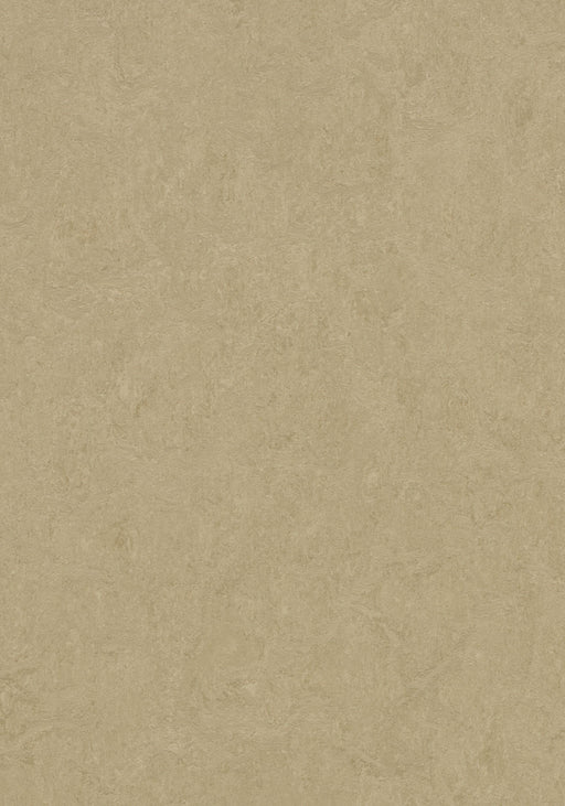 Marmoleum Cinch LOC Seal - Oat - 93/333890 B&R: Flooring & Carpeting Forbo 