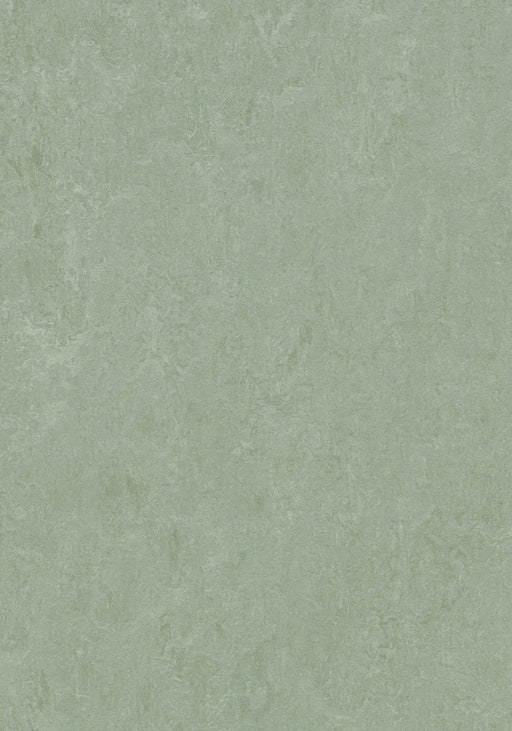 Marmoleum Cinch LOC Seal - Sage - 93/333891 B&R: Flooring & Carpeting Forbo 