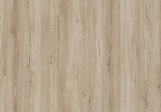 Amorim Wise Wood Pro (Glue-Down) - Diamond Oak B&R: Flooring & Carpeting Amorim Flooring 