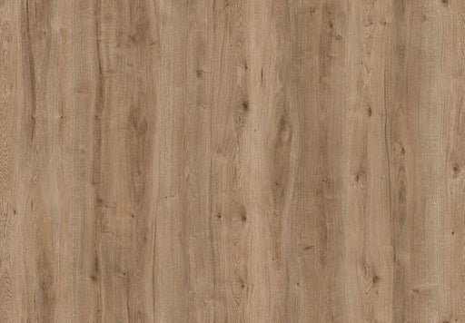 Amorim Wise Wood Pro (Glue-Down) - Field Oak B&R: Flooring & Carpeting Amorim Flooring 