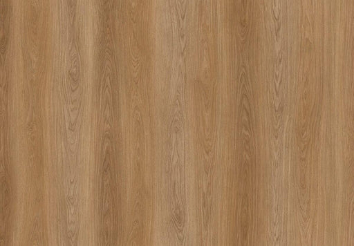 Amorim Wise Wood Pro (Glue-Down) - Manor Oak B&R: Flooring & Carpeting Amorim Flooring 