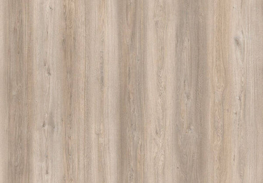 Amorim Wise Wood Pro (Glue-Down) - Ocean Oak B&R: Flooring & Carpeting Amorim Flooring 