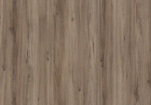 Amorim Wise Wood Pro (Glue-Down) - Quartz Oak B&R: Flooring & Carpeting Amorim Flooring 