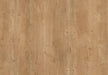 Amorim Wise Wood Pro (Glue-Down) - Mountain Oak B&R: Flooring & Carpeting Amorim Flooring 