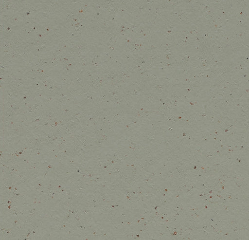 Marmoleum Sheet Splash - Eucalyptus - 3588 B&R: Flooring & Carpeting Forbo 