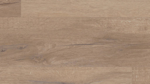 COREtec Grande - Goldin Oak - VV662 - 04011 B&R: Flooring & Carpeting USFloors 