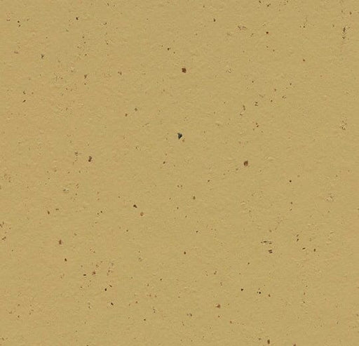 Marmoleum Cocoa - 3587 Curcuma B&R: Flooring & Carpeting Forbo 