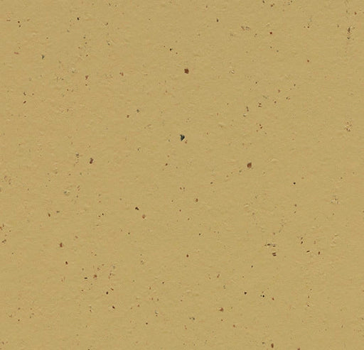 Marmoleum Cocoa - 3587 - Curcuma B&R: Flooring & Carpeting Forbo 
