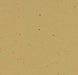 Marmoleum Cocoa - 3587 Curcuma B&R: Flooring & Carpeting Forbo 