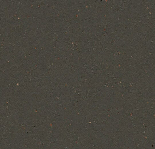 Marmoleum Cocoa - 3591 Black Tea B&R: Flooring & Carpeting Forbo 