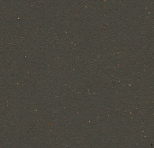Marmoleum Cocoa - 3591 - Black Tea B&R: Flooring & Carpeting Forbo 