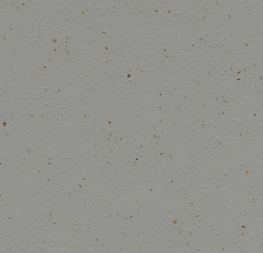 Marmoleum Cocoa - 3594 Chia Seeds B&R: Flooring & Carpeting Forbo 