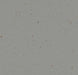 Marmoleum Cocoa - 3594 - Chia Seeds B&R: Flooring & Carpeting Forbo 