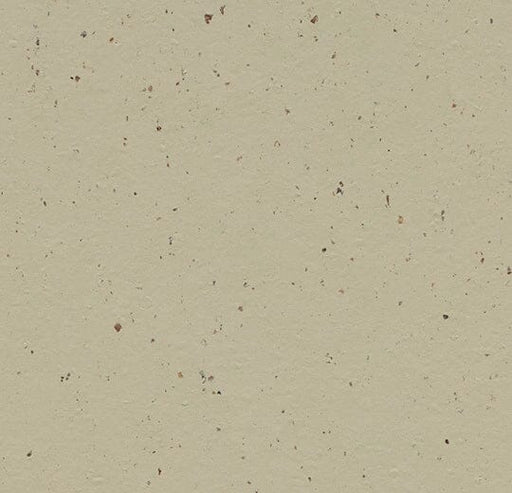 Marmoleum Cocoa - 3595 Pannacotta B&R: Flooring & Carpeting Forbo 