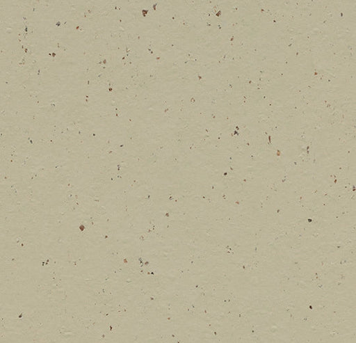 Marmoleum Cocoa - 3595 - Pannacotta B&R: Flooring & Carpeting Forbo 