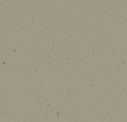 Marmoleum Cocoa - 3596 Hummus B&R: Flooring & Carpeting Forbo 