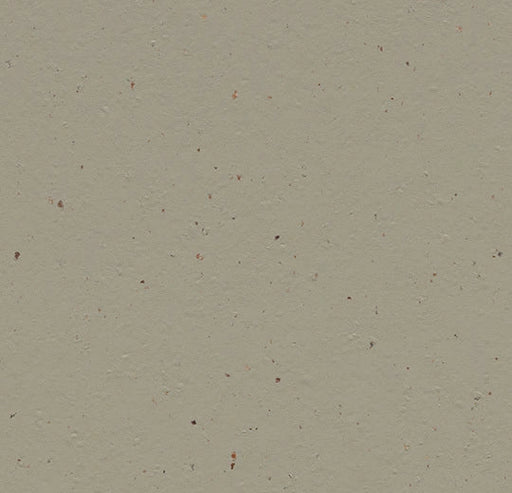 Marmoleum Cocoa - 3596 - Hummus B&R: Flooring & Carpeting Forbo 