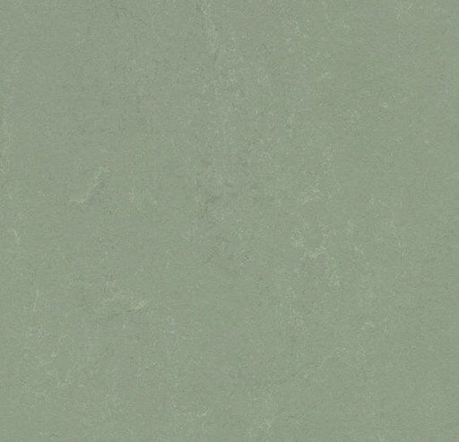 Marmoleum Concrete - 3750 - Pine Forest B&R: Flooring & Carpeting Forbo 