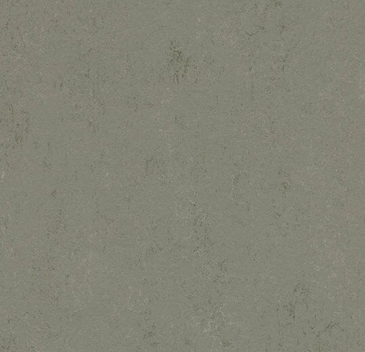 Marmoleum Concrete - 3755 - Glacier B&R: Flooring & Carpeting Forbo 