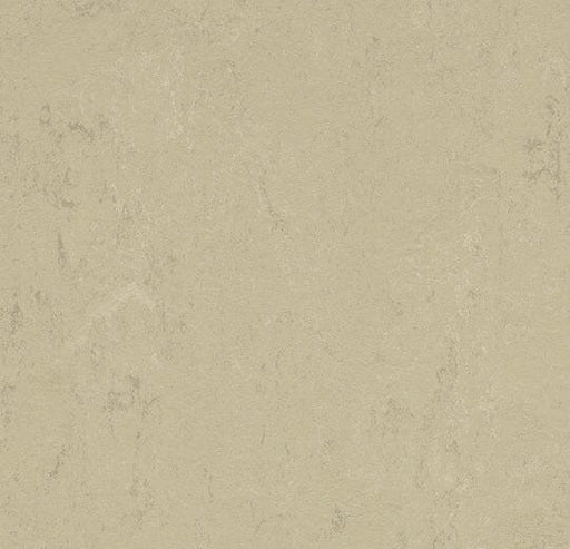 Marmoleum Concrete - 3761 - Titan B&R: Flooring & Carpeting Forbo 