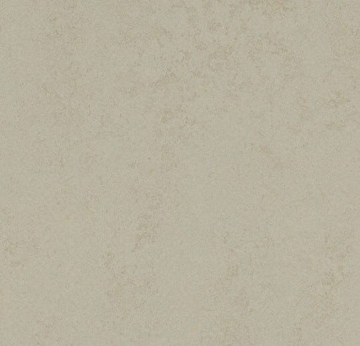 Marmoleum Decibel - Dust - 376035 B&R: Flooring & Carpeting Forbo 