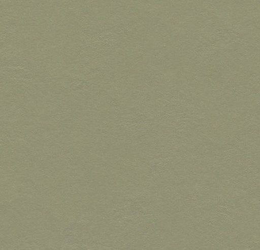 Marmoleum Decibel - Rosemary Green - 335535 B&R: Flooring & Carpeting Forbo 