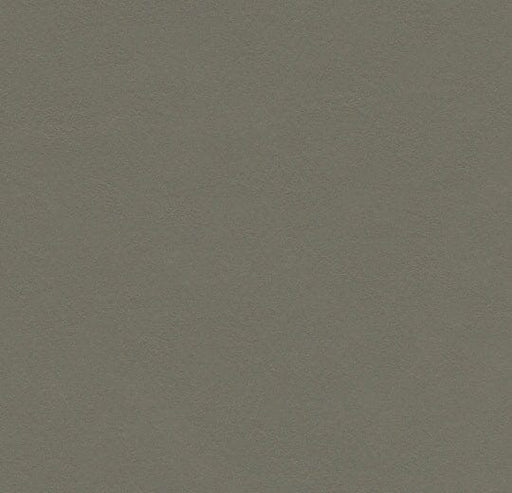 Marmoleum Piano - Grey Adobe - 3375 B&R: Flooring & Carpeting Forbo 
