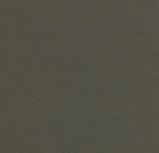 Marmoleum Piano - Peat - 3376 B&R: Flooring & Carpeting Forbo 